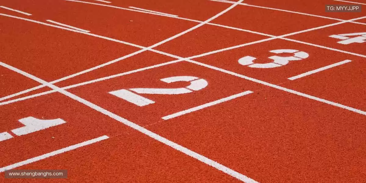 🏆 赛事激情,与全球观众同频共振!